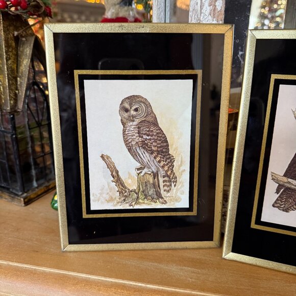 1971 Reverse paint Owl pictures - Picture 14 of 14